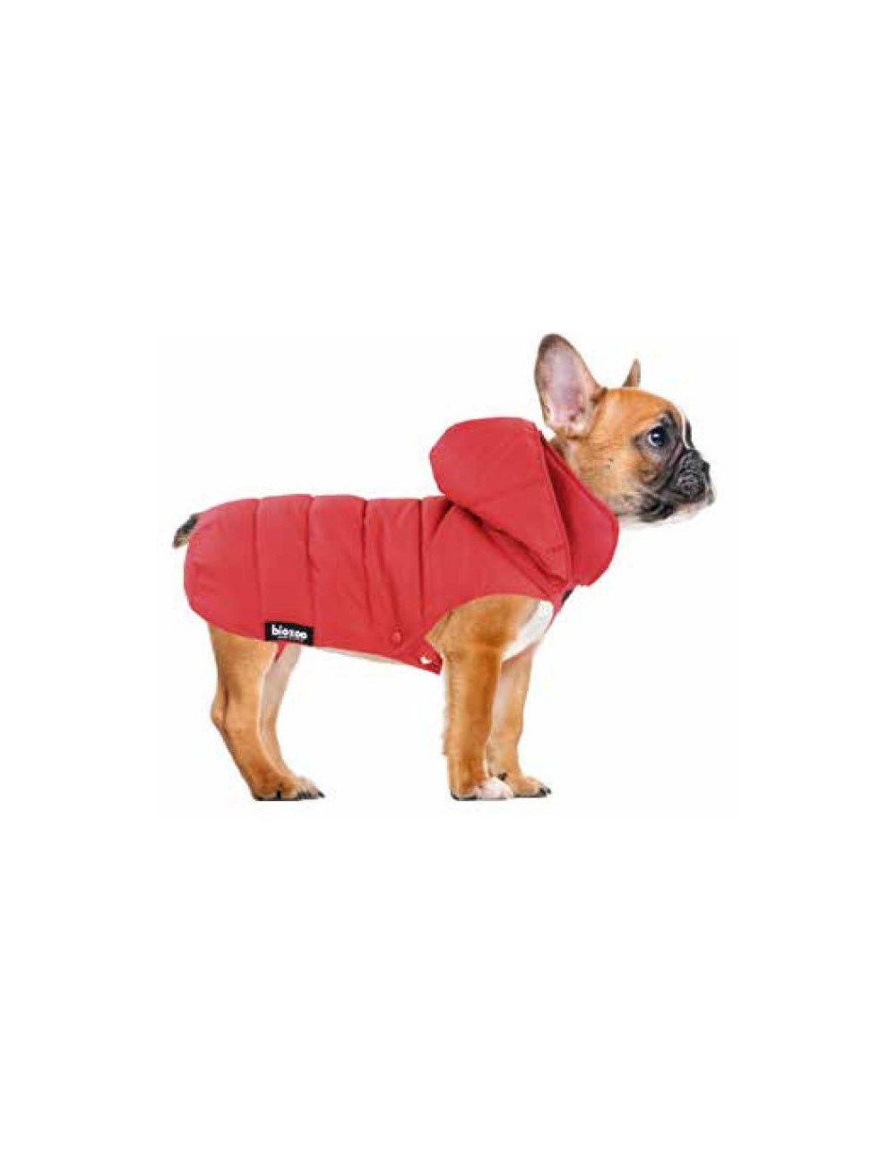 IMPERMEABLE ACOLCHADO T25 ROJO