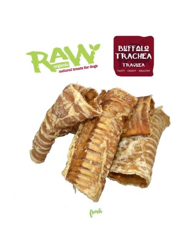 FRESH RAW TRAQUEA 1KG