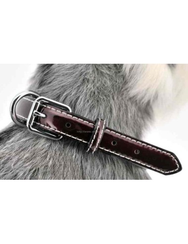 COLLAR CUERO ELITE MONT 1 6X35CM